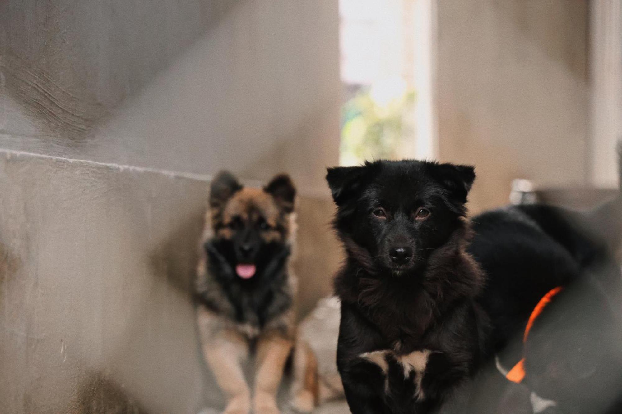 Susu Homestay Hue Thon Kim Long Ngoại thất bức ảnh